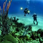 Explore Our Coral Reefs