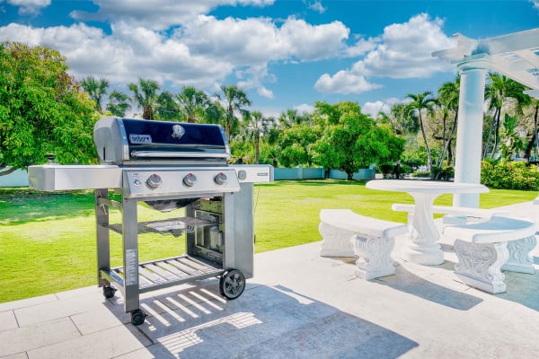 bbq-1